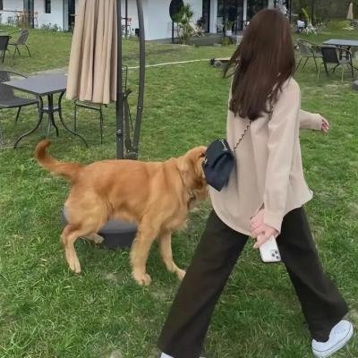 婚前故事